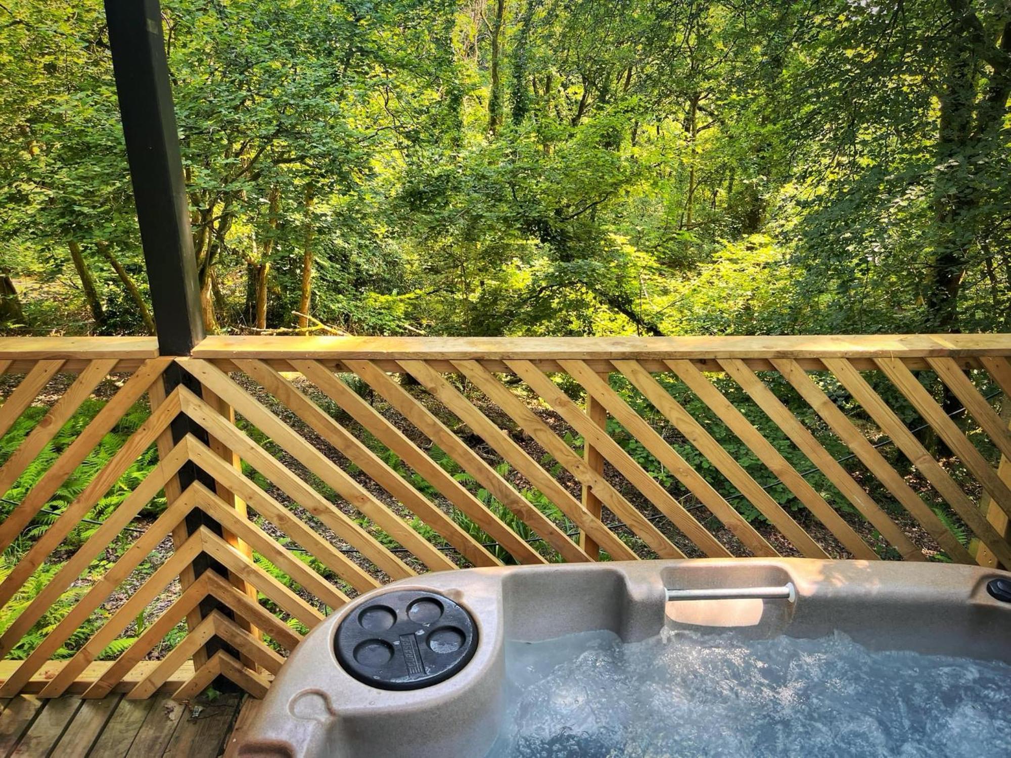 Goldcrest 3-Hot Tub-Woodland Lodges-Carmarthenshire-Tenby Exterior photo